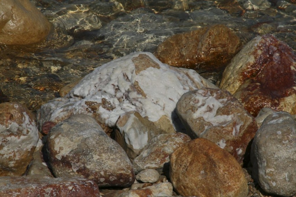 Salt encrusted rocks by the public beach.